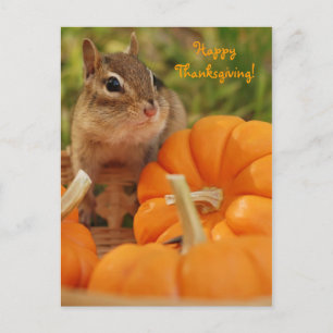 happy thanksgiving Little Chipmunk-vykort Helg Vykort