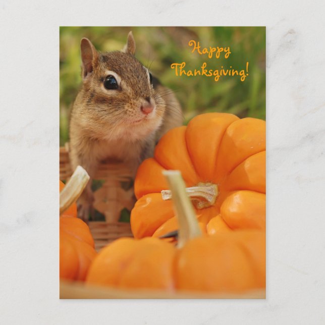 Happy thanksgiving Little Chipmunk-vykort Helg Vykort (Framsida)