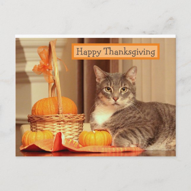 Happy thanksgiving med momskort helg vykort (Framsida)