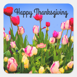Happy thanksgiving Olika tulips #3 Stickers Fyrkantigt Klistermärke