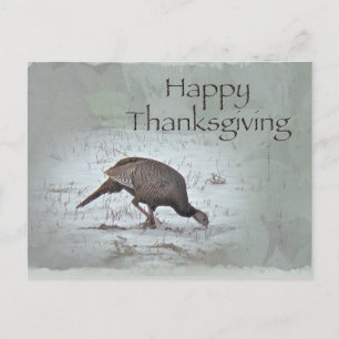 Happy thanksgiving Vild Turkiet Helg Vykort