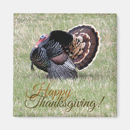 Happy thanksgiving Vild Turkiet Magnet
