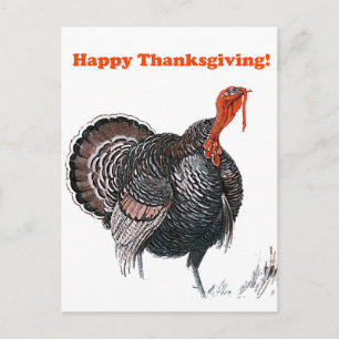 Happy thanksgiving Vintage Turkiet Teckning Helg Vykort
