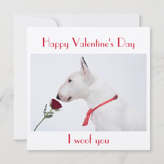 Happy Valentine's Day Bull Terrier with a Rose Kort (Framsida)