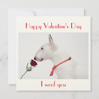 Happy Valentine's Day Bull Terrier with a Rose Kort