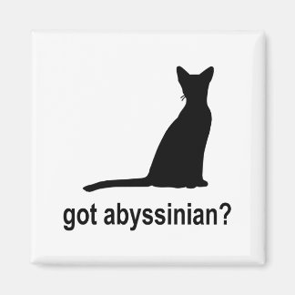 Har Abyssinian? Magnet