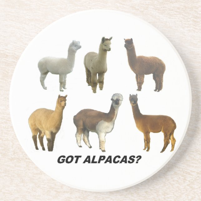 Har alpacas? underlägg sandsten (Framsidan)