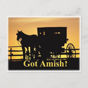Har Amish? Vykort