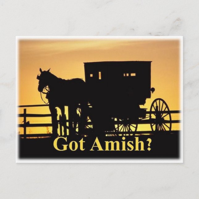 Har Amish? Vykort (Framsida)