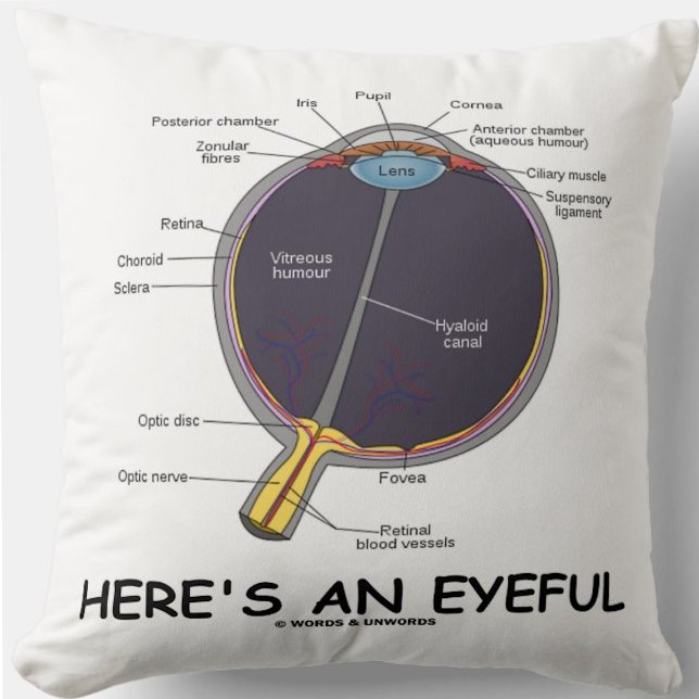 Här är en trevlig dag (Öga Anatomy Humor) Kudde (Throw pillow featuring human eye anatomy along with the caption "Here's An Eyeful")