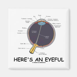 Här är en trevlig dag (Öga Anatomy Humor) Magnet