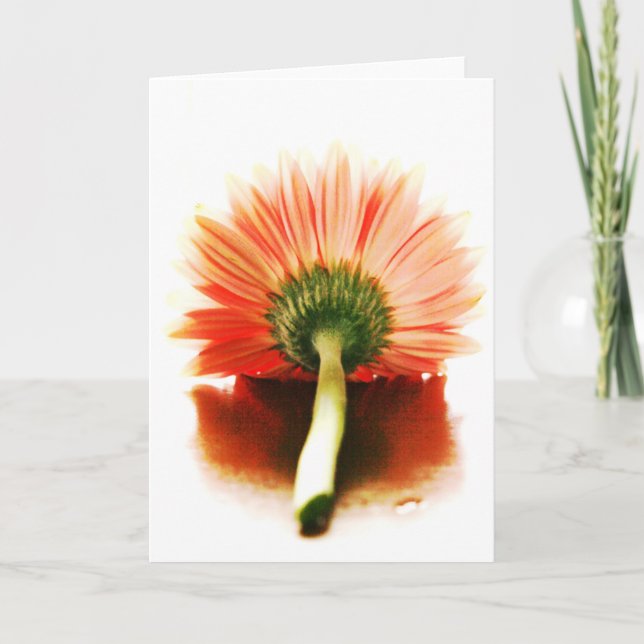 Här är jag kort (Framsida)