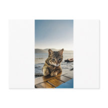 "Här är jag" säger Katten