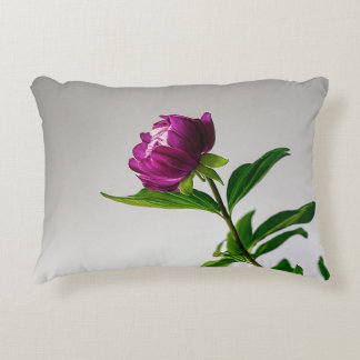 Här är några kreativets rubrikidéer för en kuddeme prydnadskudde