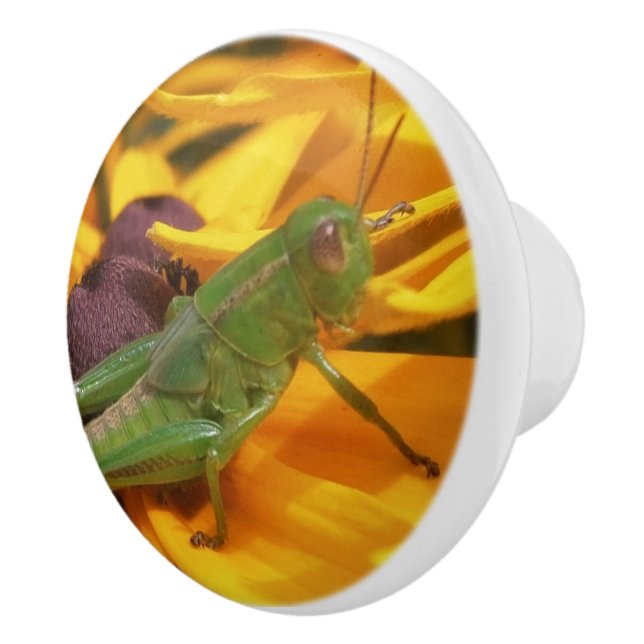 Här är Tittar på dig. Knopp (Höger)