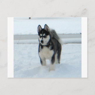 Här Är Trubbel Vykort