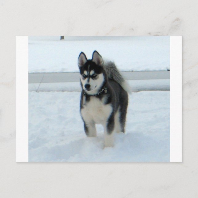 Här Är Trubbel Vykort (Framsida)