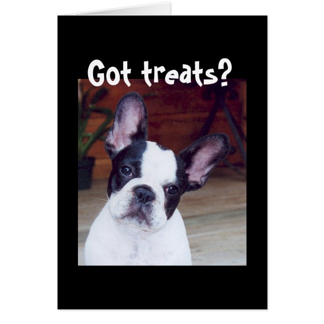 "Har behandlar?" Hälsningskort (Framsidan)