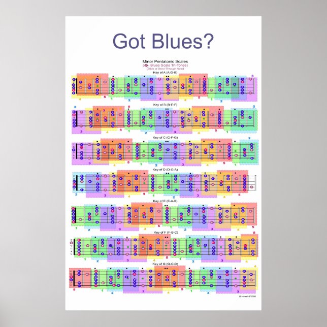 Har Blues? Guitar Scales Poster (Framsidan)
