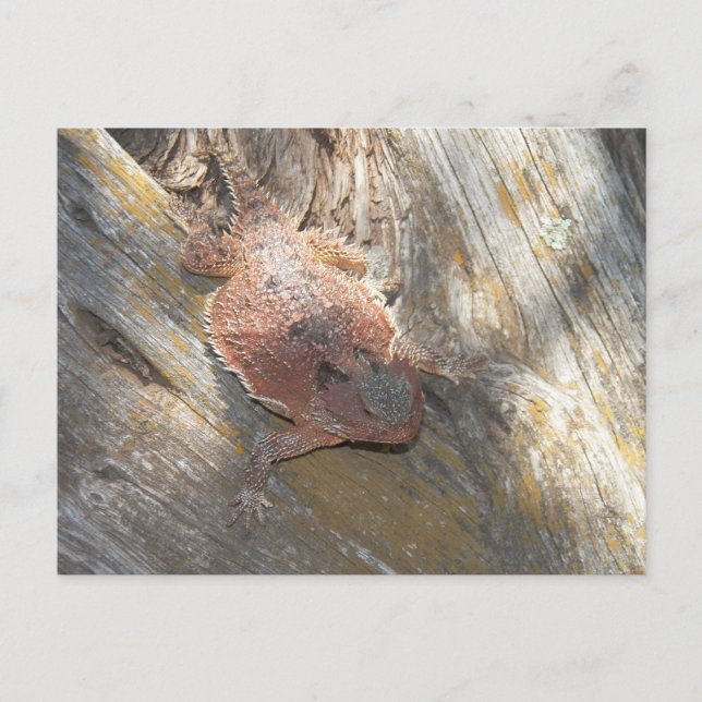 har bytt namn till jordgubbsbär vykort (Framsida)