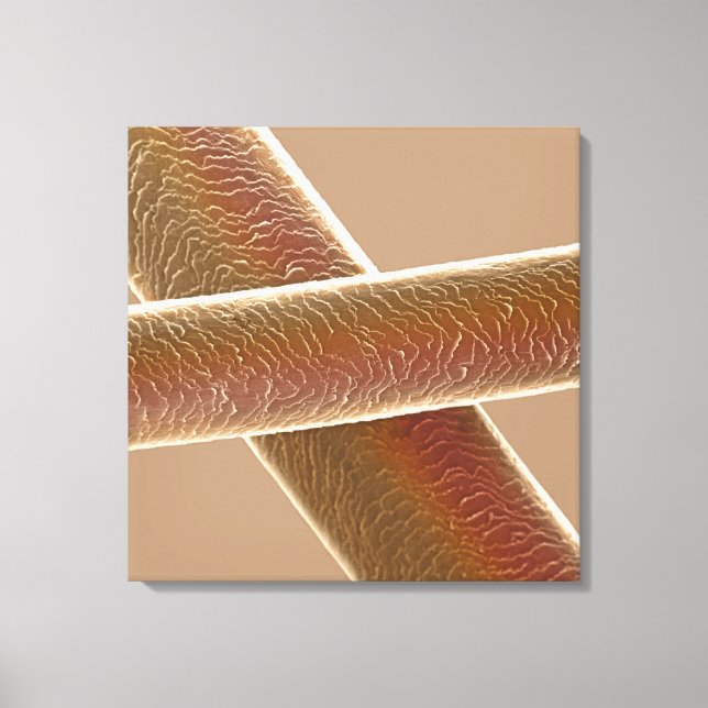 Hår Canvastryck (Framsida)