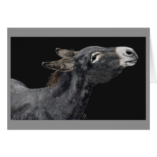 "Har Carrots" - "Donkey Card?" OBS Kort