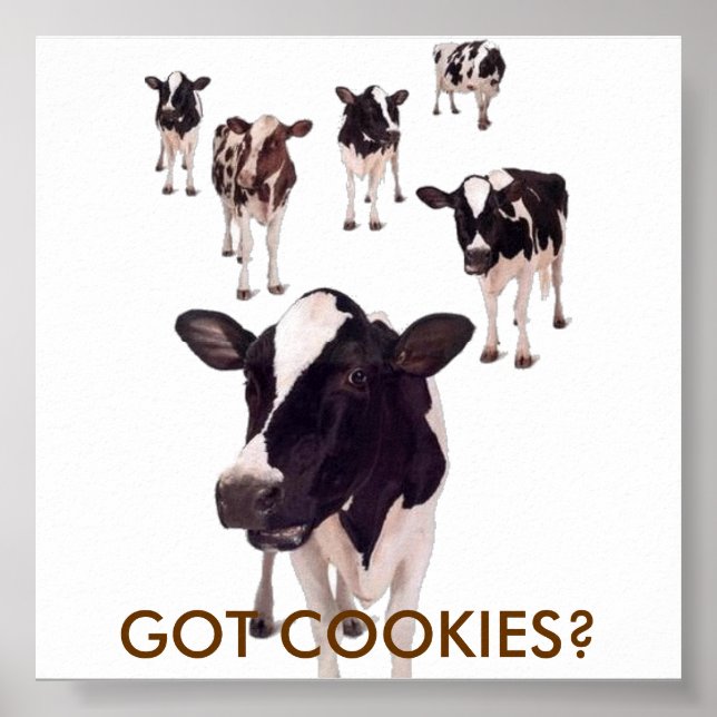 HAR COOKIES? POSTER (Framsidan)