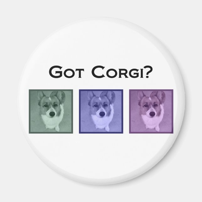 Har Corgi? Cute Corgis Magnet (Framsidan)