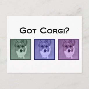 Har Corgi? Funny Corgis Art Photograph Vykort