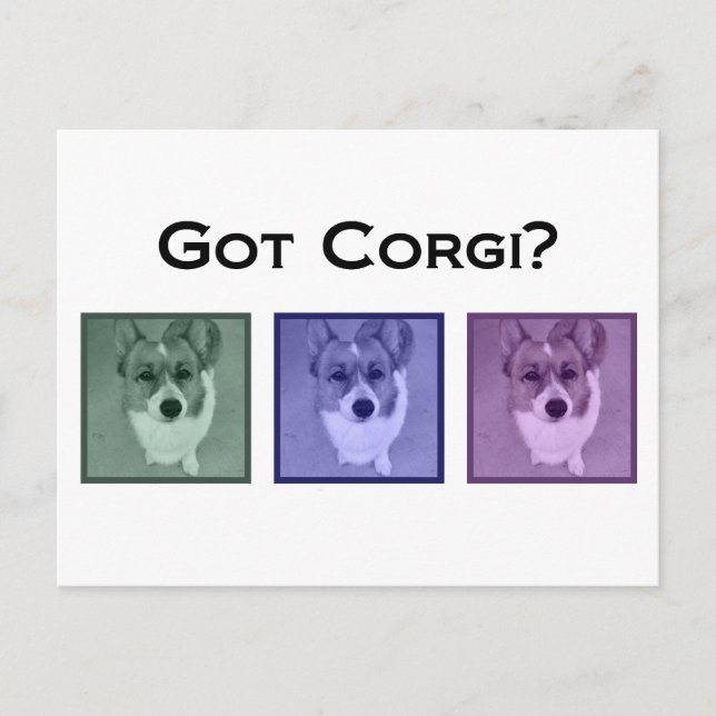 Har Corgi? Funny Corgis Art Photograph Vykort (Framsida)