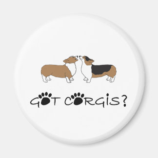 Har Corgis? Magnet