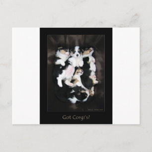 Har Corgis? Vykort