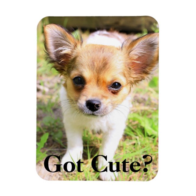 Har Cute? marionett Magnet (Vertikal)