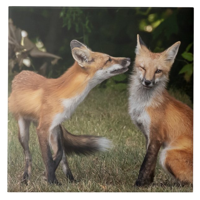 Har du en mint? kakelplatta (Framsidan)