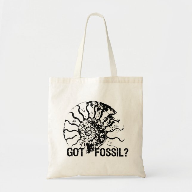 HAR DU FOSSIL? Ammonit Tygkasse (Framsidan)