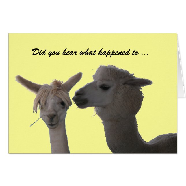 Har du hört.. hälsningskort (Framsidan Horizontal)