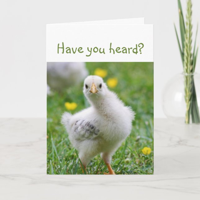 Har du hört? Meddelande om akut Chick (Framsida)