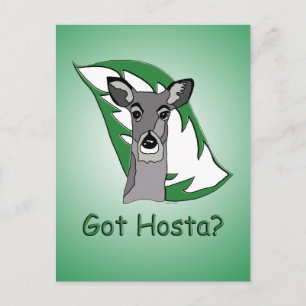 Har du Hosta? Vykort