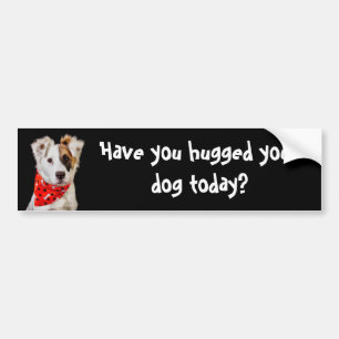Har du kramat din hund i dag? bildekal