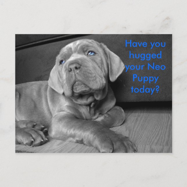 Har du kramat din Neo-valp idag? Vykort (Framsida)