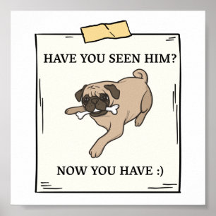 Har du sett Hund nu när du vill ha Pet? Poster