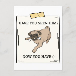 Har du sett Hund nu när du vill ha Pet? Vykort