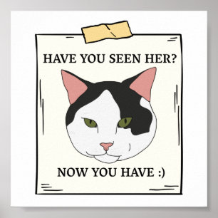 Har du sett katt nu när du vill ha Pet? Poster