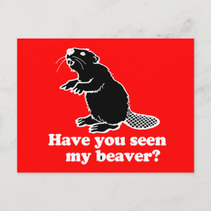 HAR DU SETT MIN BEAVER? VYKORT