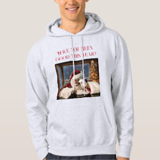 Har du varit bra i år? Hoodie