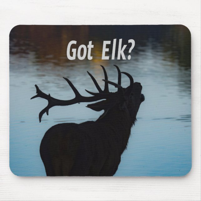 Har Elk? Funny Hunter Humor Musmatta (Framsidan)