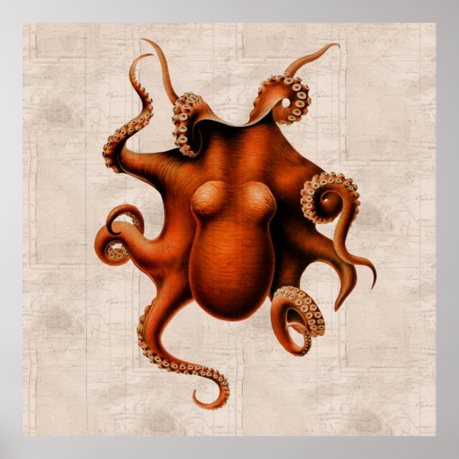 Här finns det monster poster (Framsidan)