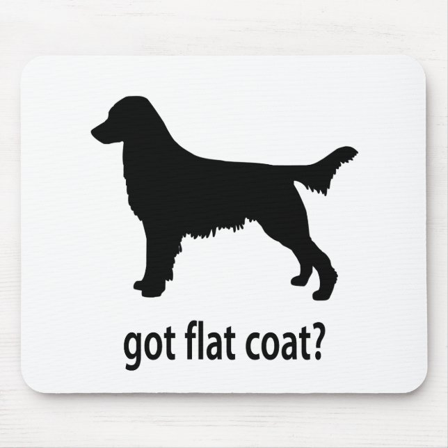 Har Flatcoat Musmatta (Framsidan)