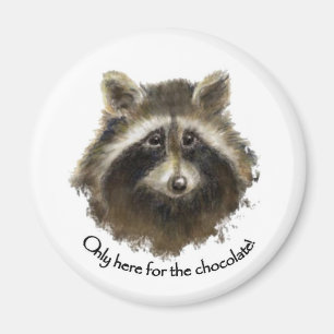 Här för Chocolate, Cute Raccoon, Animal Magnet