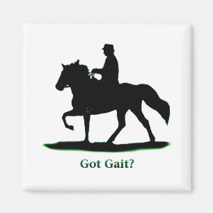 Har Gait Magnet